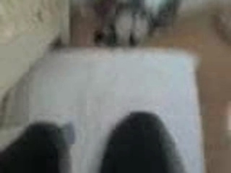 vivez en directe le saut de l'ange..