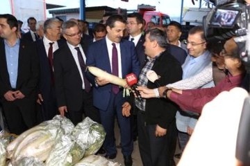 Bakan Çelik'ten Mecliste Kavga Edenlere Turplu Gönderme