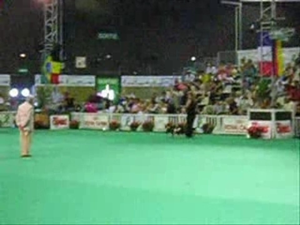 CHAMPIONNAT 2006