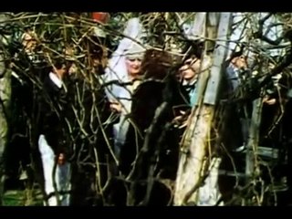 Snezana Savic Ne smem da te diram (Official Video 1984)