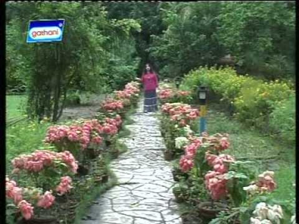 Pakhi Ja Ure Ja