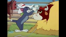 Tom and Jerry, 49 Episode - Texas Tom (1950)