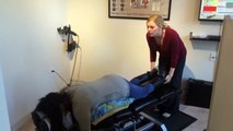 Atlanta Chiropractor performs Chiropractic adjustment using Webster