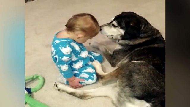 Bebé não consegue manter-se acordado e encontra uma forma SUPER FOFA para dormir