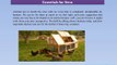 A Likeable Shelter and a Spacious Chicken Run: 2 Essentials for Hens