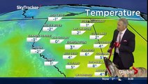 Dog Doesn't Cooperate With Weatherman During Forecast-Funny & Entertainment Clips-Funny  Entertainment Videos Follow Us!!!!!