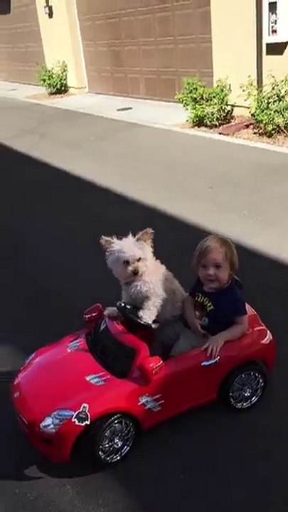 Amazing Driver