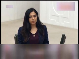 HDP TDK sözlüğündeki cinsiyetçi ifadeleri Başbakan'a sordu