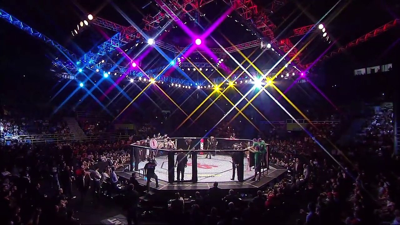 Vitor Belfort vs Michael Bisping