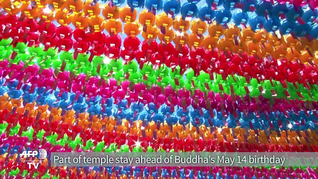 Bend it like Buddha: child monks play football in South Korea