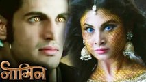 Nevla Rajat Tokas RETURNS For Revenge From Shivanya | Naagin | 8th May 2016