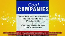 FAVORIT BOOK   Cool Companies How the Best Businesses Boost Profits and Productivity by Cutting  FREE BOOOK ONLINE