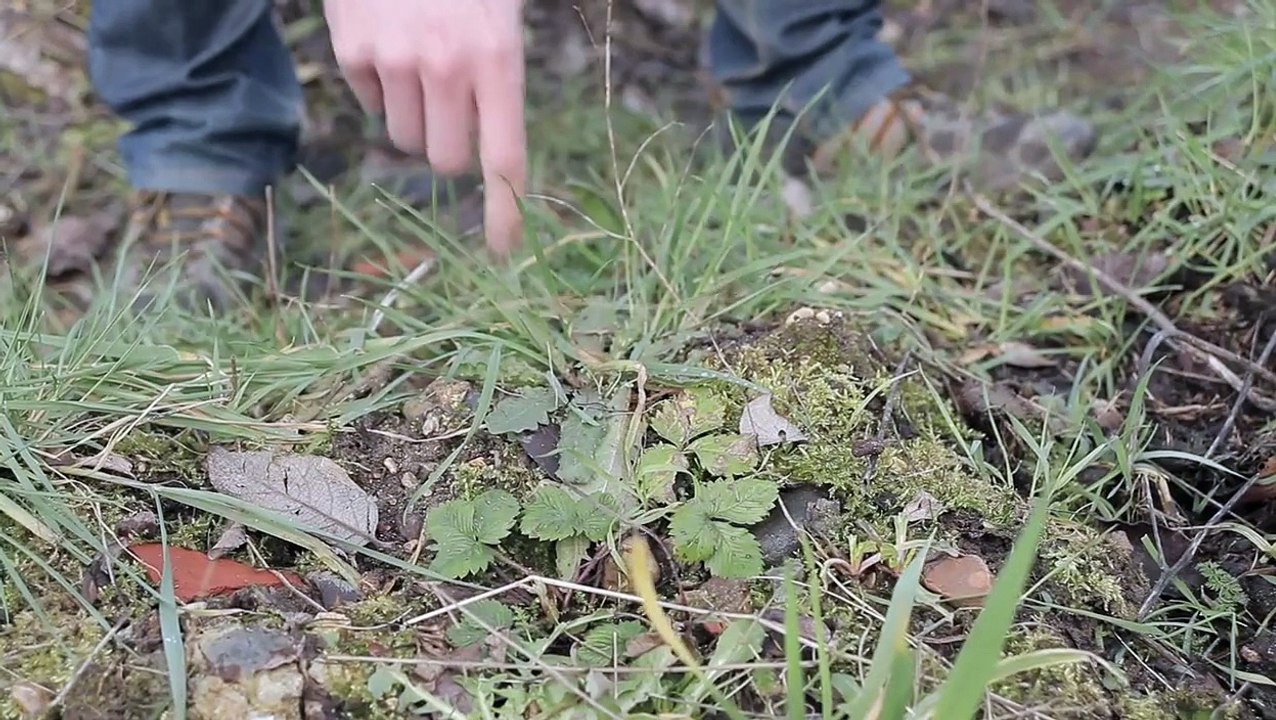 Cultiver deux fois plus avec les buttes