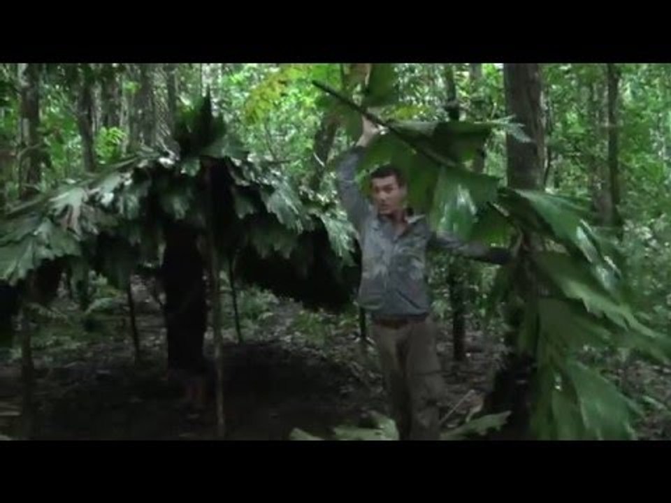 BOLIVIE : trek de SURVIE en AMAZONIE -3- construire notre abri