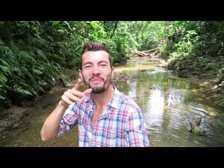 COSTA RICA : Dormir dans une Finca / Ecolodge dans la Jungle