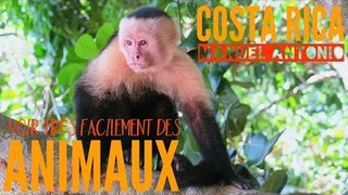COSTA RICA : le parc pour voir FACILEMENT des animaux et de très PRÈS !