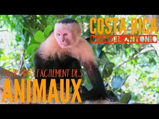 COSTA RICA : le parc pour voir FACILEMENT des animaux et de très PRÈS !