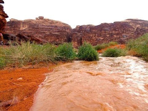 Jordanie - Randonnée à cheval dans le Wadi Rum : L'orage en plein désert