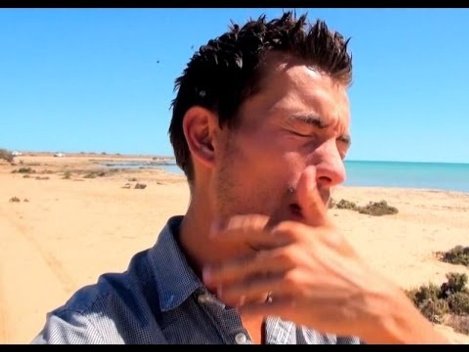 Road trip en Australie : la torture australienne