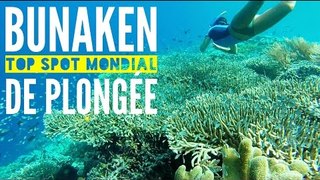 INDONÉSIE (Sulawesi) : Bunaken Top 5 mondial pour la plongée