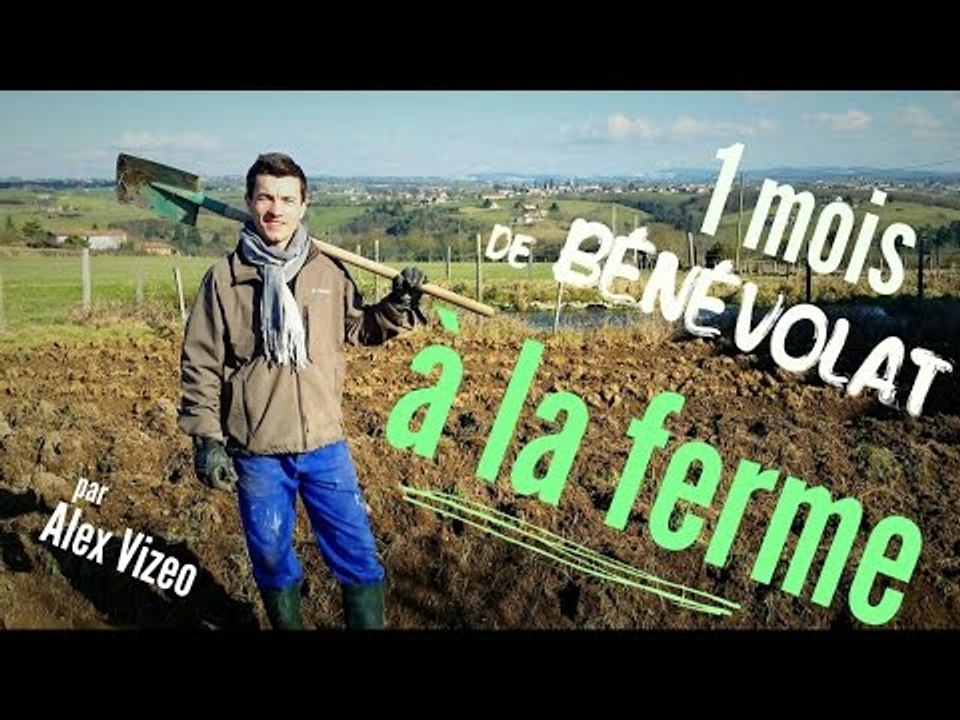 BÉNÉVOLAT À LA FERME en France (1 mois)