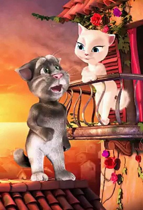 Funny Cat Clip