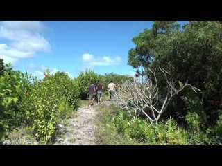 NOUVELLE CALÉDONIE : LIFU en tente et sac à dos - 3ème partie