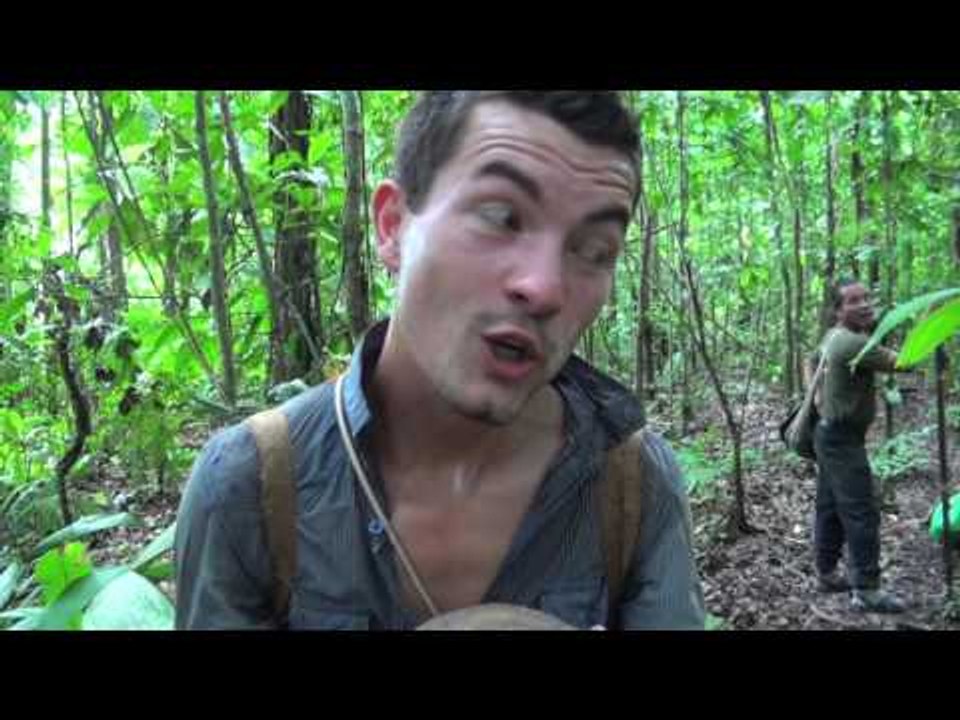 BOLIVIE : trek de SURVIE en AMAZONIE -12- on PROLONGE !!!