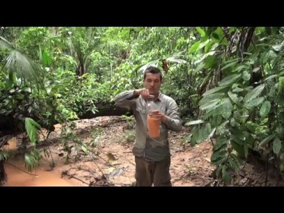 BOLIVIE : trek de SURVIE en AMAZONIE -2- dormir avec une averse tropicale