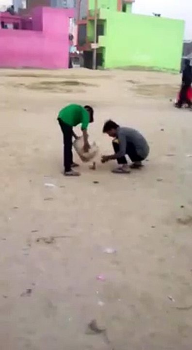 Funny Children bursting fire crackers dog is seen coming in between them