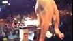 UFC 187 Weigh-Ins: Chris Weidman vs. Vitor Belfort