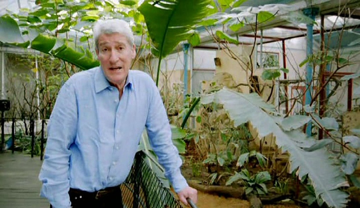 Britain's Great War - E01 - War Comes To Britain