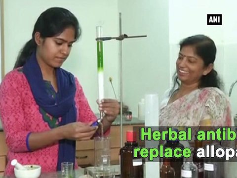Herbal antibiotics from 'useless weeds' to challenge allopathic pills