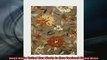 One of the best  ZnZ Rugs Gallery 300609x12 Handmade New Zealand Blend Wool Rug 9 by 12Feet Brown Sugar