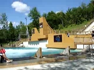 snowscoot (chris essai no.2 back-flip no hander)