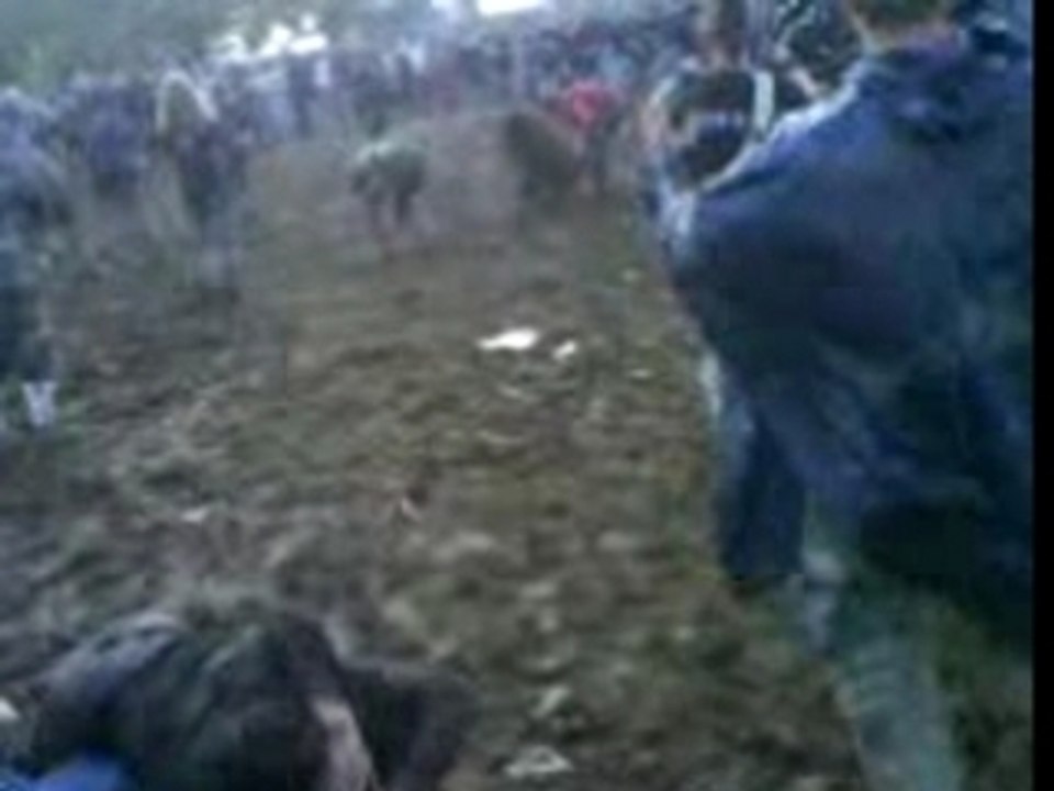 Boue's fighting 6