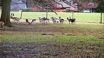 Zu Besuch im Wildpark Wiehl