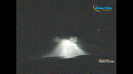 Un kangourou attaque une voiture