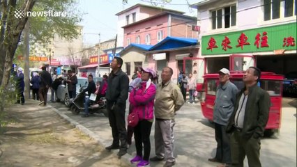 Cat rescued after getting stuck up a tree for five days