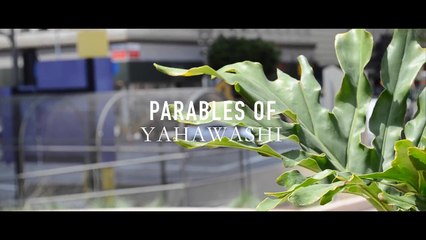 Parables of Yahawashi #3: The Tares And The Wheat