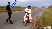 watch how they manage to steal