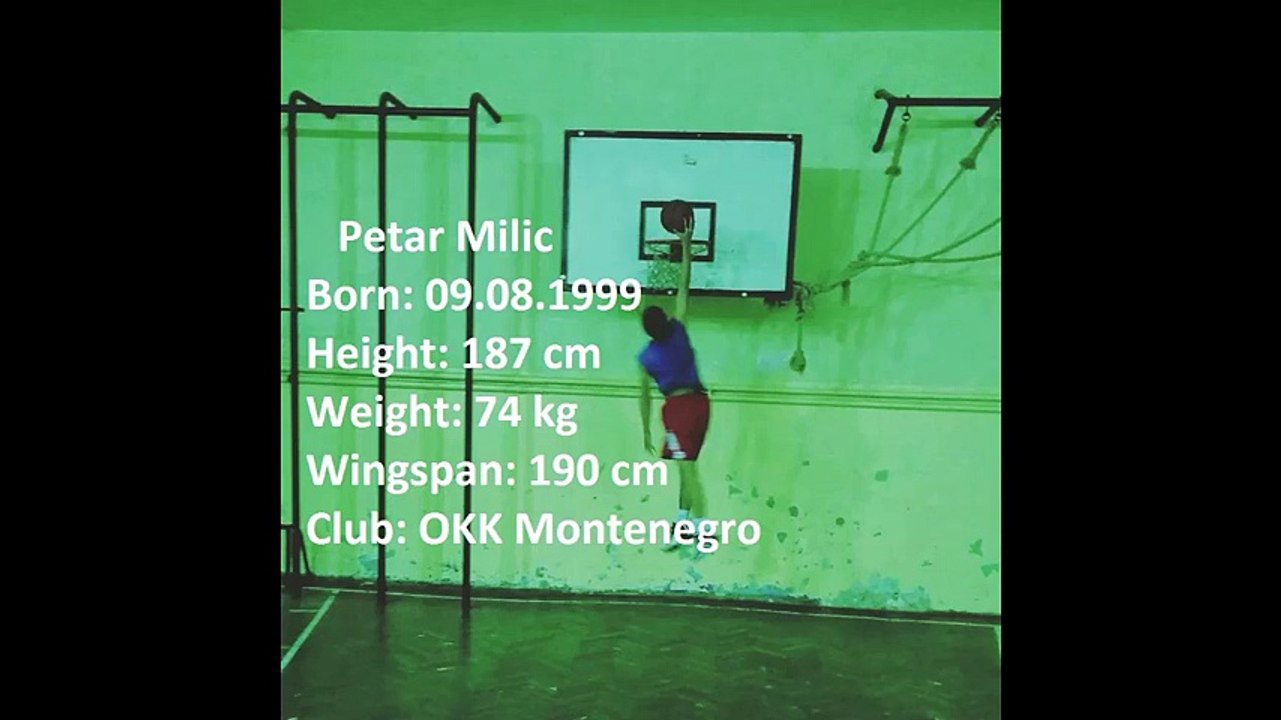 Petar Milic
