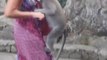 Monkey Larki Ka Kya Dekhna Chata ha KHUd DKhen.,.,/// ___ - Video Dailymotion