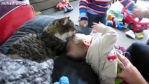 Cute Cats and Dogs Love Babies Compilation 2015