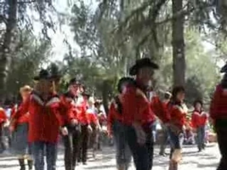 country tarasconnaise