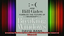 READ book  Breaking Windows How Bill Gates Fumbled the Future of Microsoft  BOOK ONLINE
