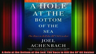 READ book  A Hole at the Bottom of the Sea The Race to Kill the BP Oil Gusher  BOOK ONLINE