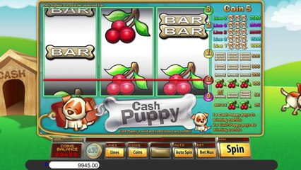 Cash Puppy ilmainen kasino kolikkopeli Saucify Video Esikatselu