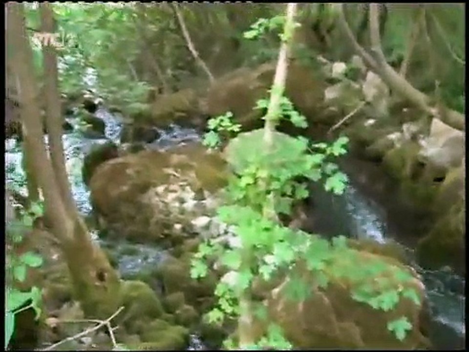 Moja lepa Srbija - Knjaževac