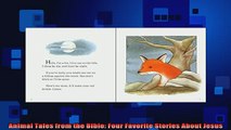 READ book  Animal Tales from the Bible Four Favorite Stories About Jesus Full Ebook Online Free
